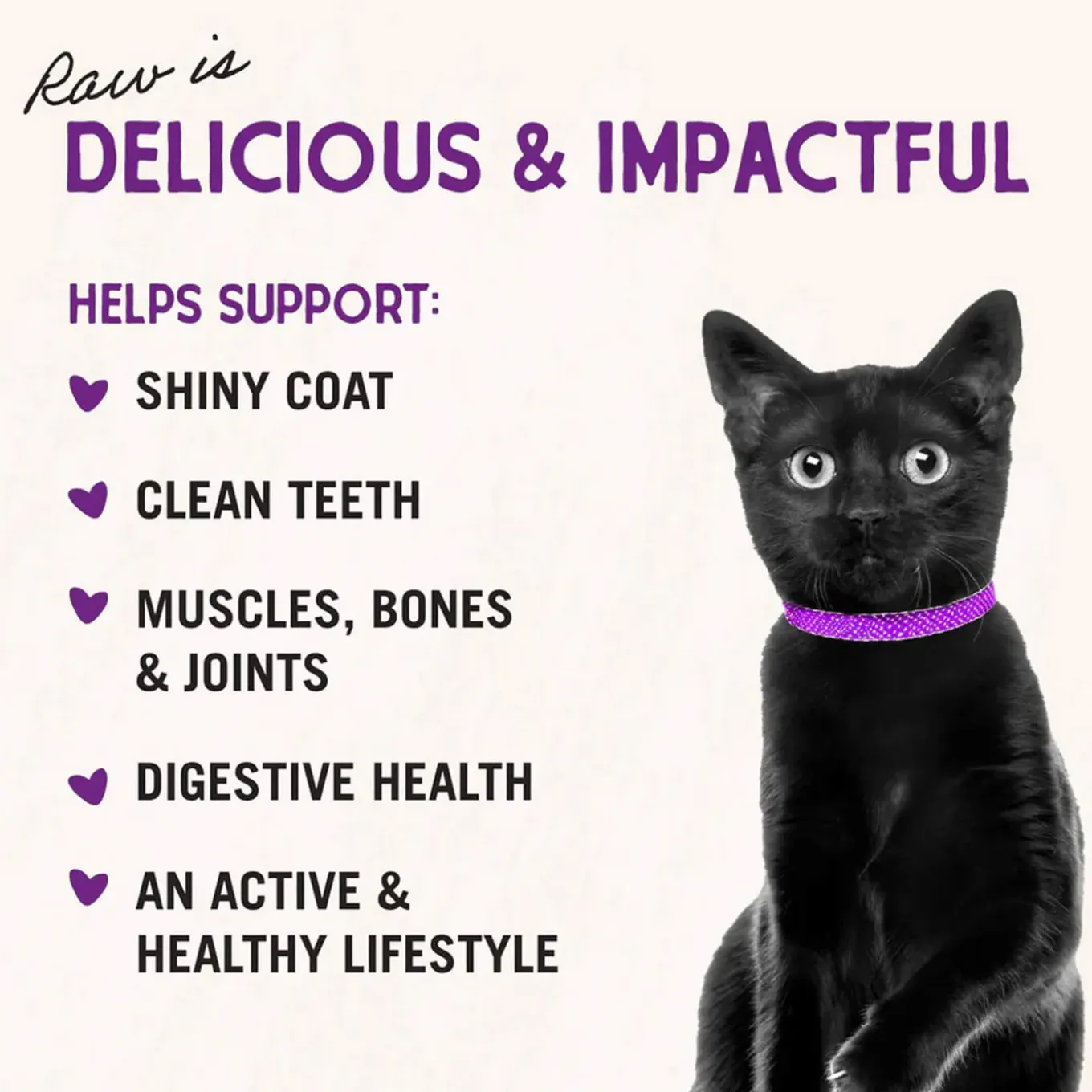 Stella & Chewy's Grain-Free Freeze Dried Cat Food