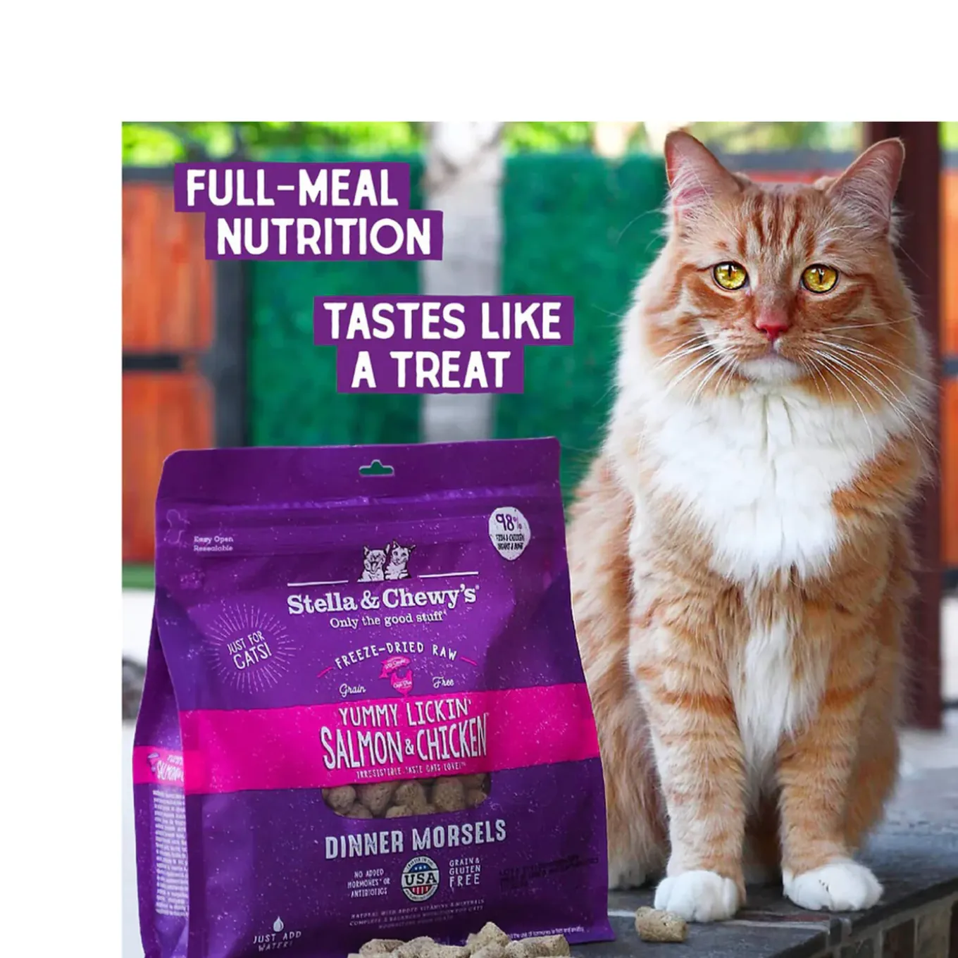 Stella & Chewy's Grain-Free Freeze Dried Cat Food