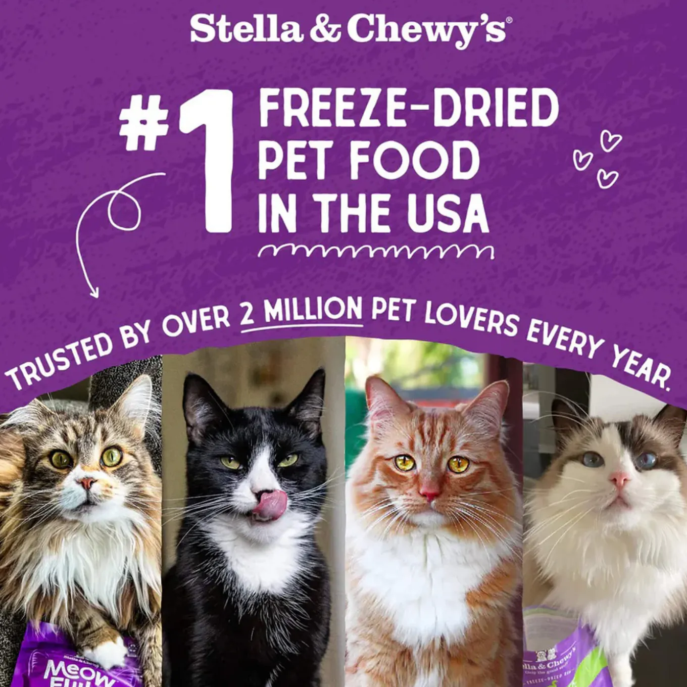 Stella & Chewy's Grain-Free Freeze Dried Cat Food