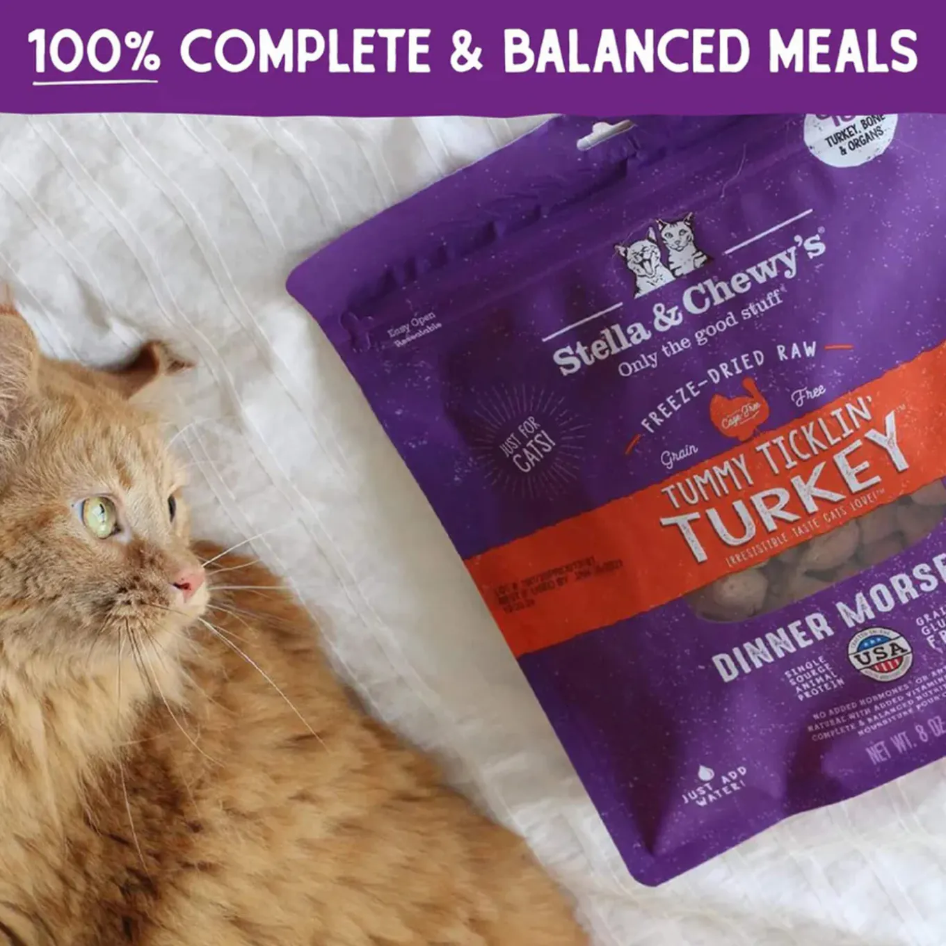 Stella & Chewy's Grain-Free Freeze Dried Cat Food