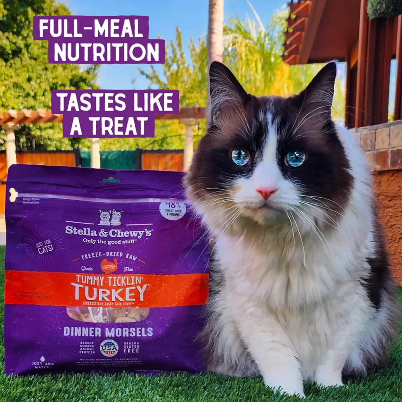Stella & Chewy's Grain-Free Freeze Dried Cat Food