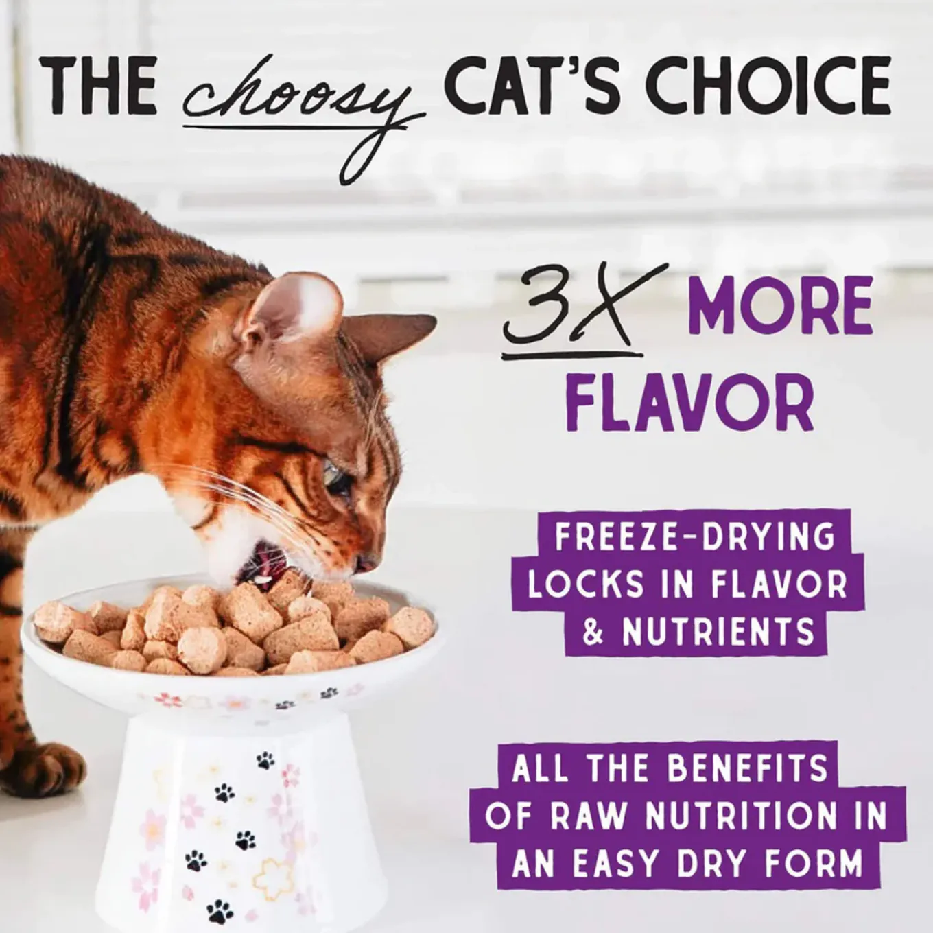Stella & Chewy's Grain-Free Freeze Dried Cat Food