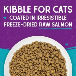 Stella & Chewy's Raw Coated Dry Cat Food