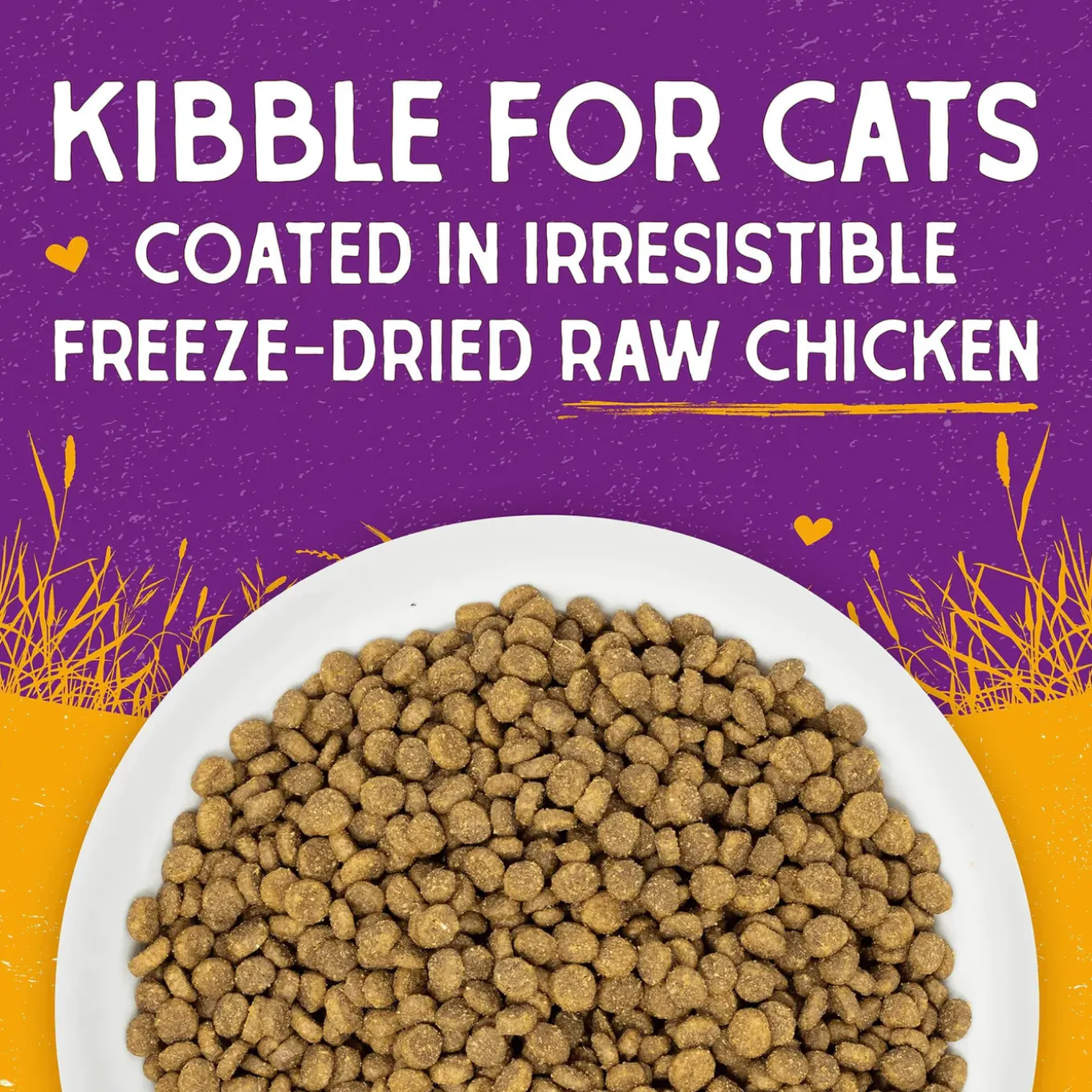 Stella & Chewy's Raw Coated Dry Cat Food