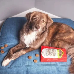 Stella & Chewy's Raw Coated Biscuit Freeze Dried Dog Treat
