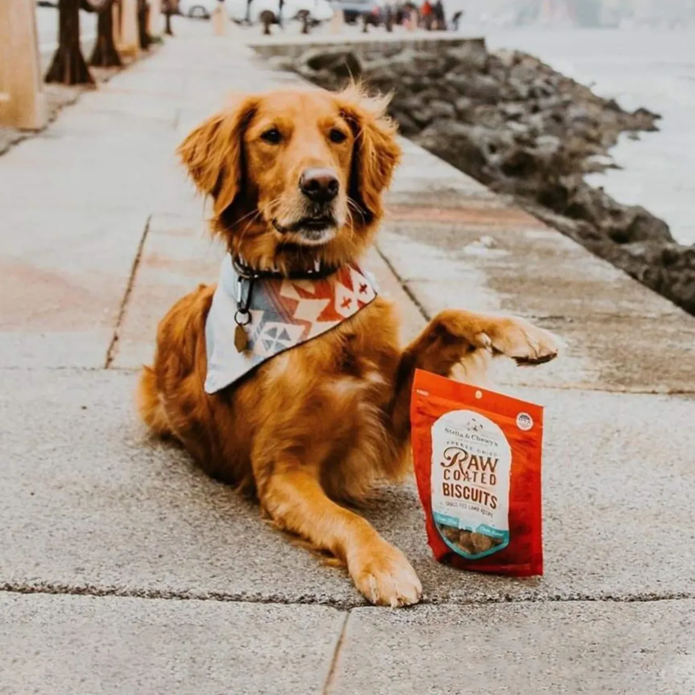 Stella & Chewy's Raw Coated Biscuit Freeze Dried Dog Treat