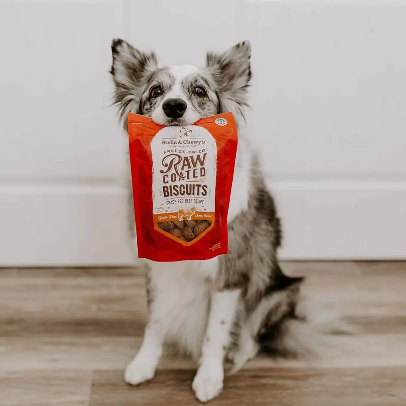 Stella & Chewy's Raw Coated Biscuit Freeze Dried Dog Treat