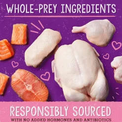Stella & Chewy's Stella's Solutions Skin & Coat Support Freeze Dried Cat Food