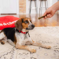 Stella & Chewy's Dental Delights for Dogs