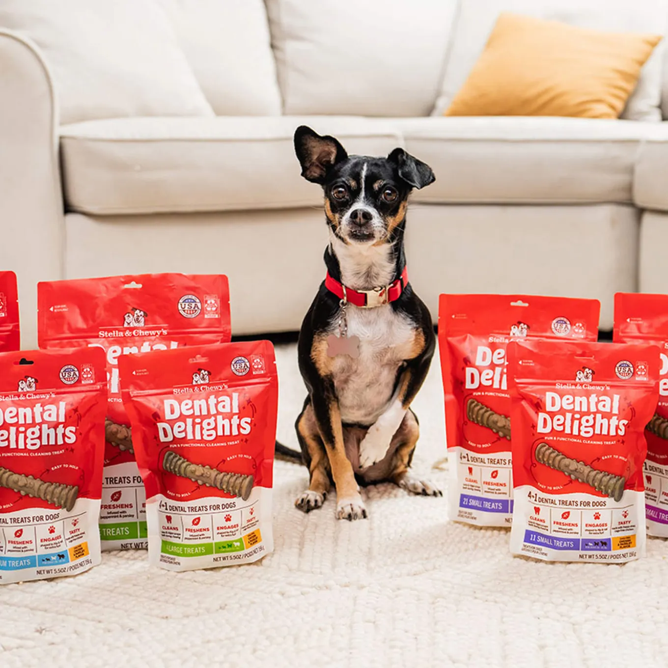 Stella & Chewy's Dental Delights for Dogs