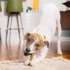 Stella & Chewy's Dental Delights for Dogs