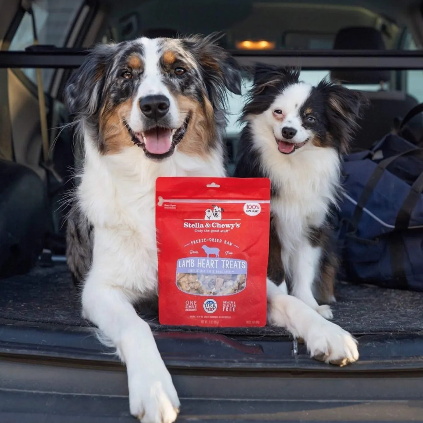 Stella & Chewy's Freeze-Dried Raw Single Ingredient Treats