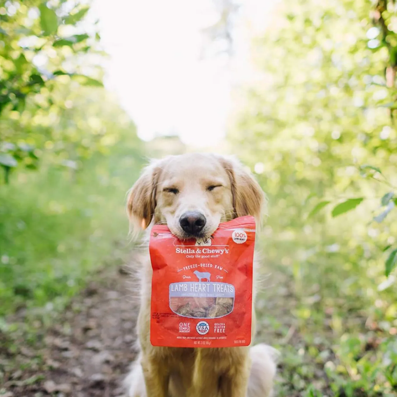Stella & Chewy's Freeze-Dried Raw Single Ingredient Treats