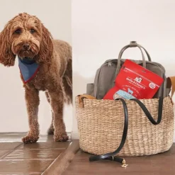 Stella & Chewy's Freeze-Dried Raw Single Ingredient Treats
