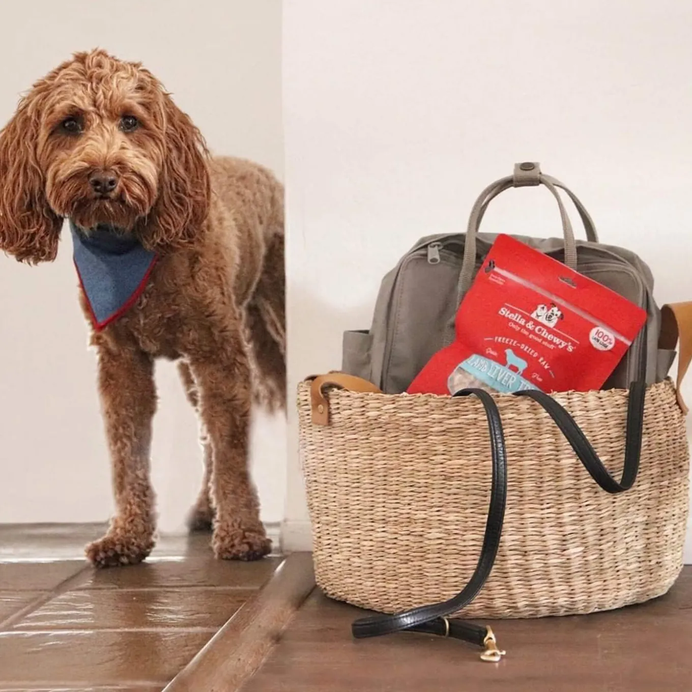 Stella & Chewy's Freeze-Dried Raw Single Ingredient Treats