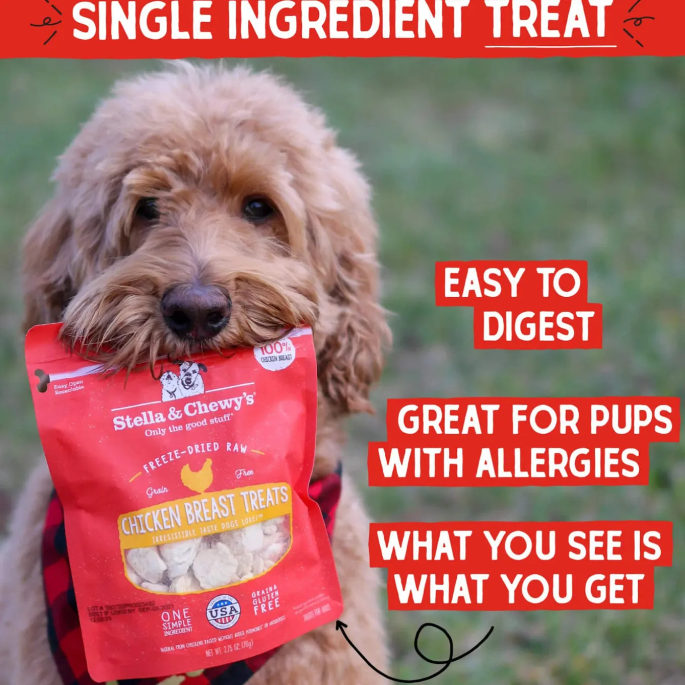 Stella & Chewy's Freeze-Dried Raw Single Ingredient Treats