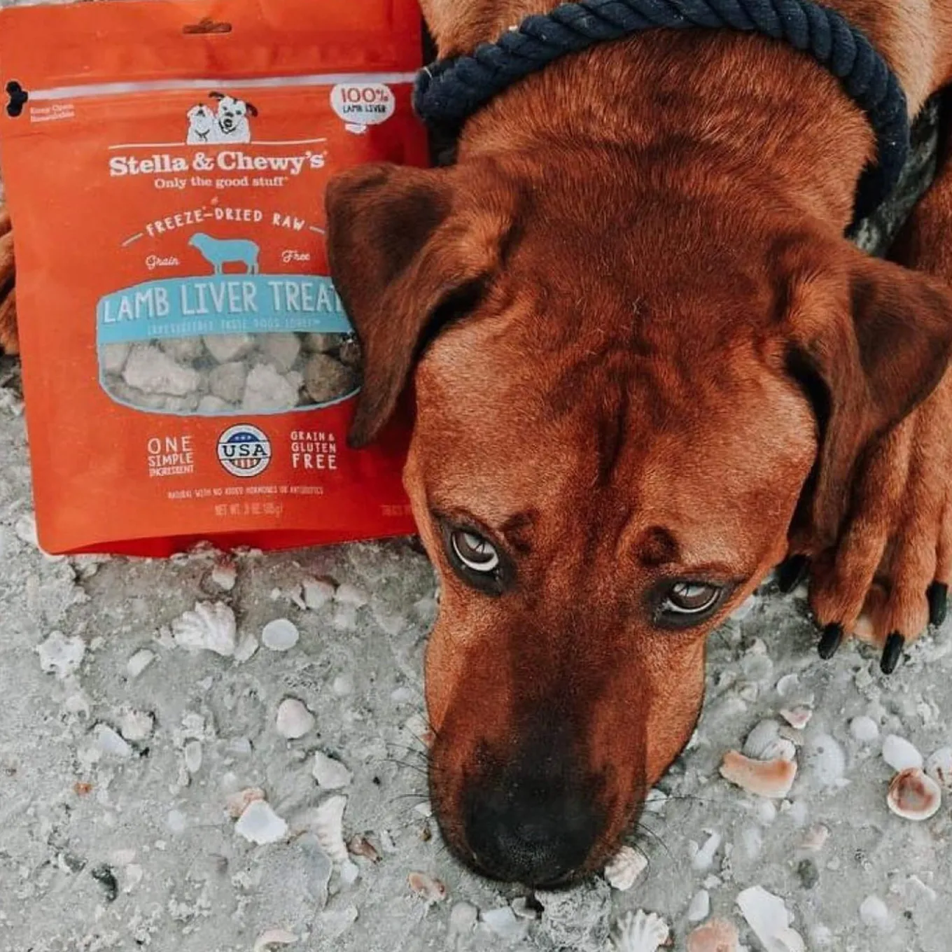 Stella & Chewy's Freeze-Dried Raw Single Ingredient Treats