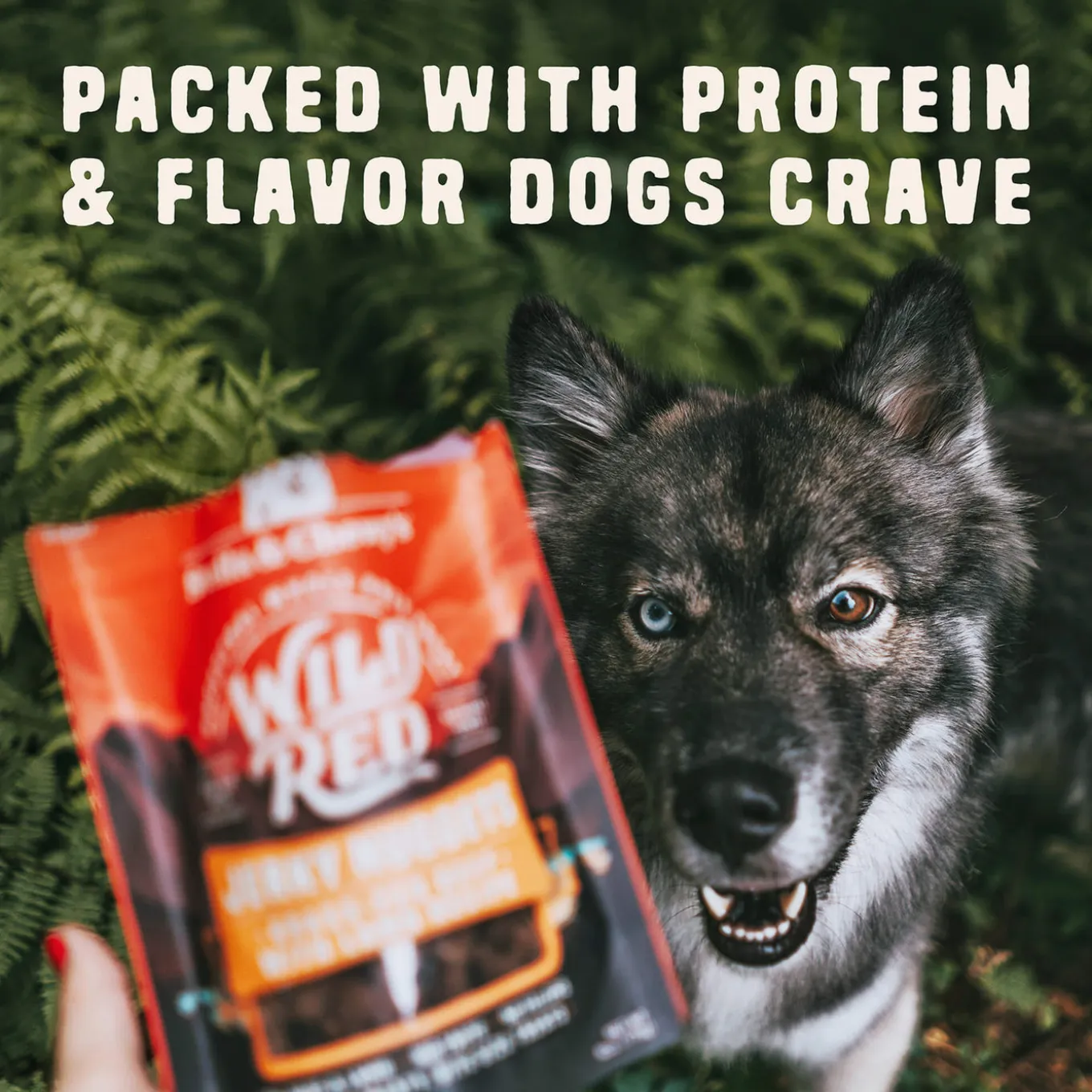 Stella & Chewy's Wild Red Jerky Nuggets 6oz