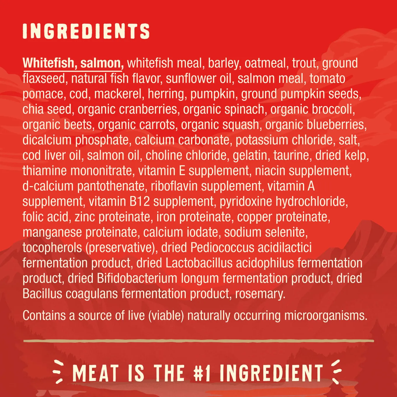 Stella & Chewy's Wild Red Raw Coated Wholesome Grains Dry Dog Food