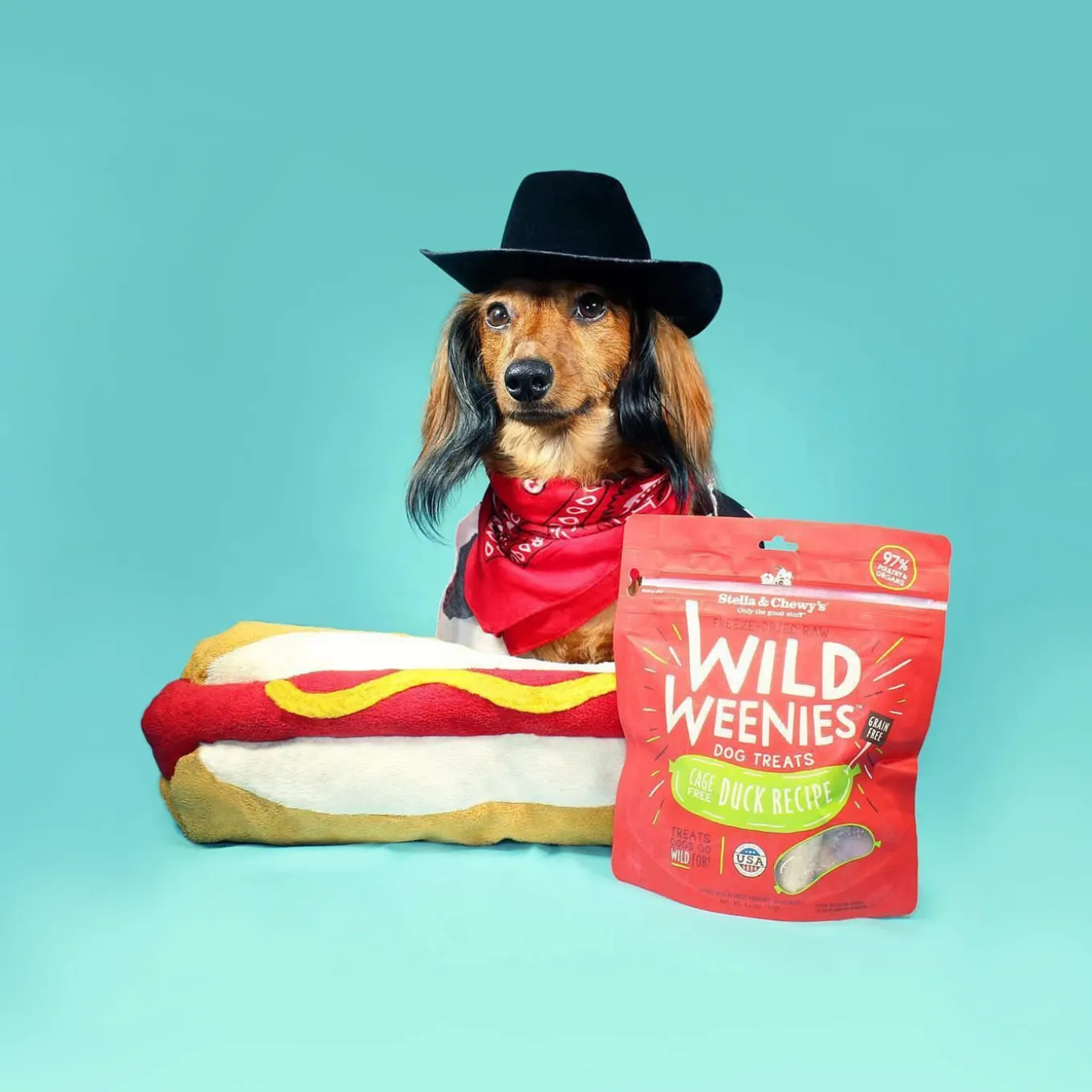 Stella & Chewy's Wild Weenies Raw Freeze-Dried Dog Treats