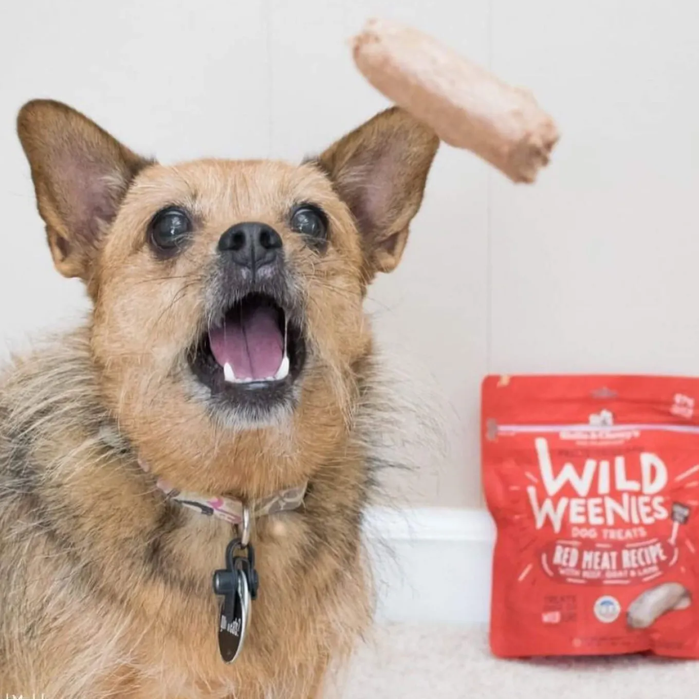 Stella & Chewy's Wild Weenies Raw Freeze-Dried Dog Treats