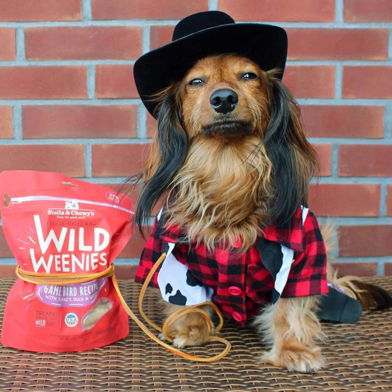 Stella & Chewy's Wild Weenies Raw Freeze-Dried Dog Treats