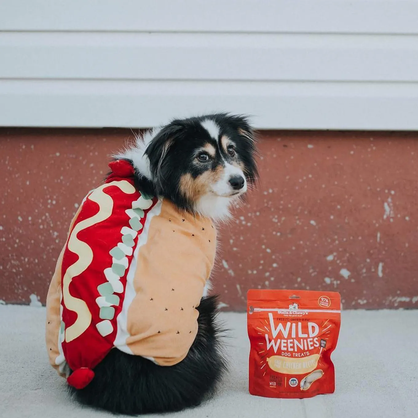 Stella & Chewy's Wild Weenies Raw Freeze-Dried Dog Treats
