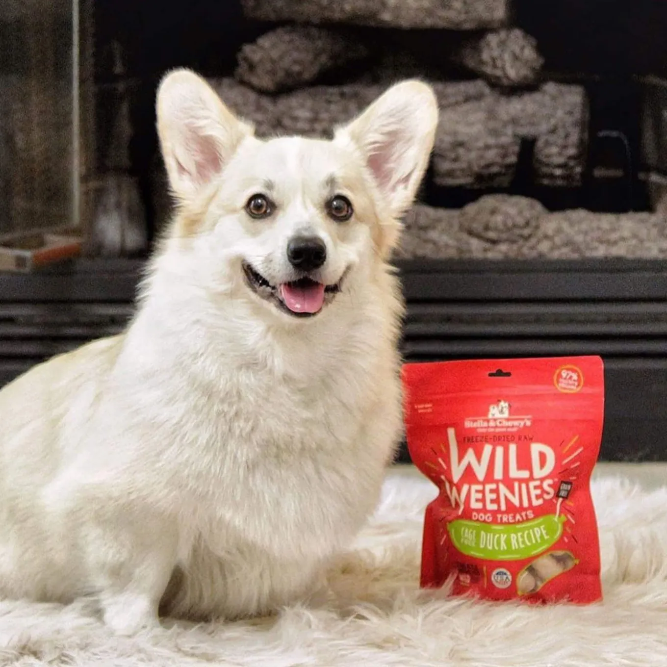 Stella & Chewy's Wild Weenies Raw Freeze-Dried Dog Treats