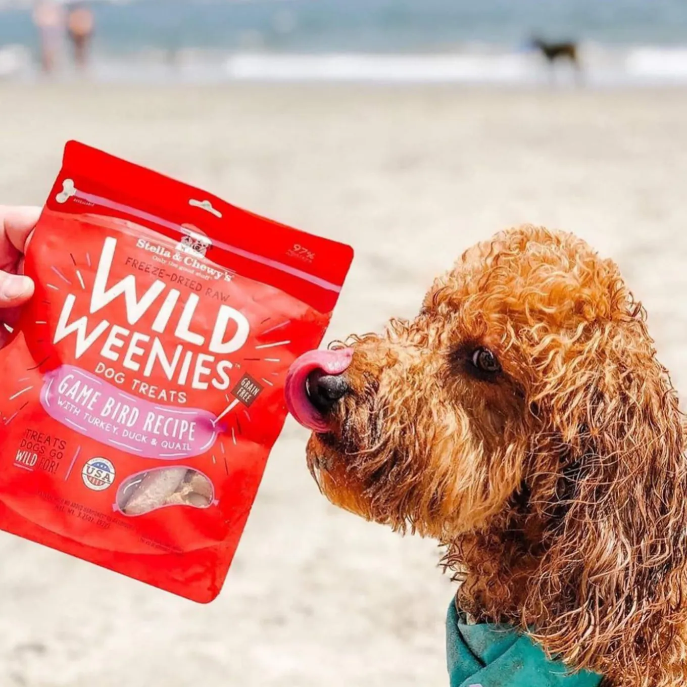 Stella & Chewy's Wild Weenies Raw Freeze-Dried Dog Treats