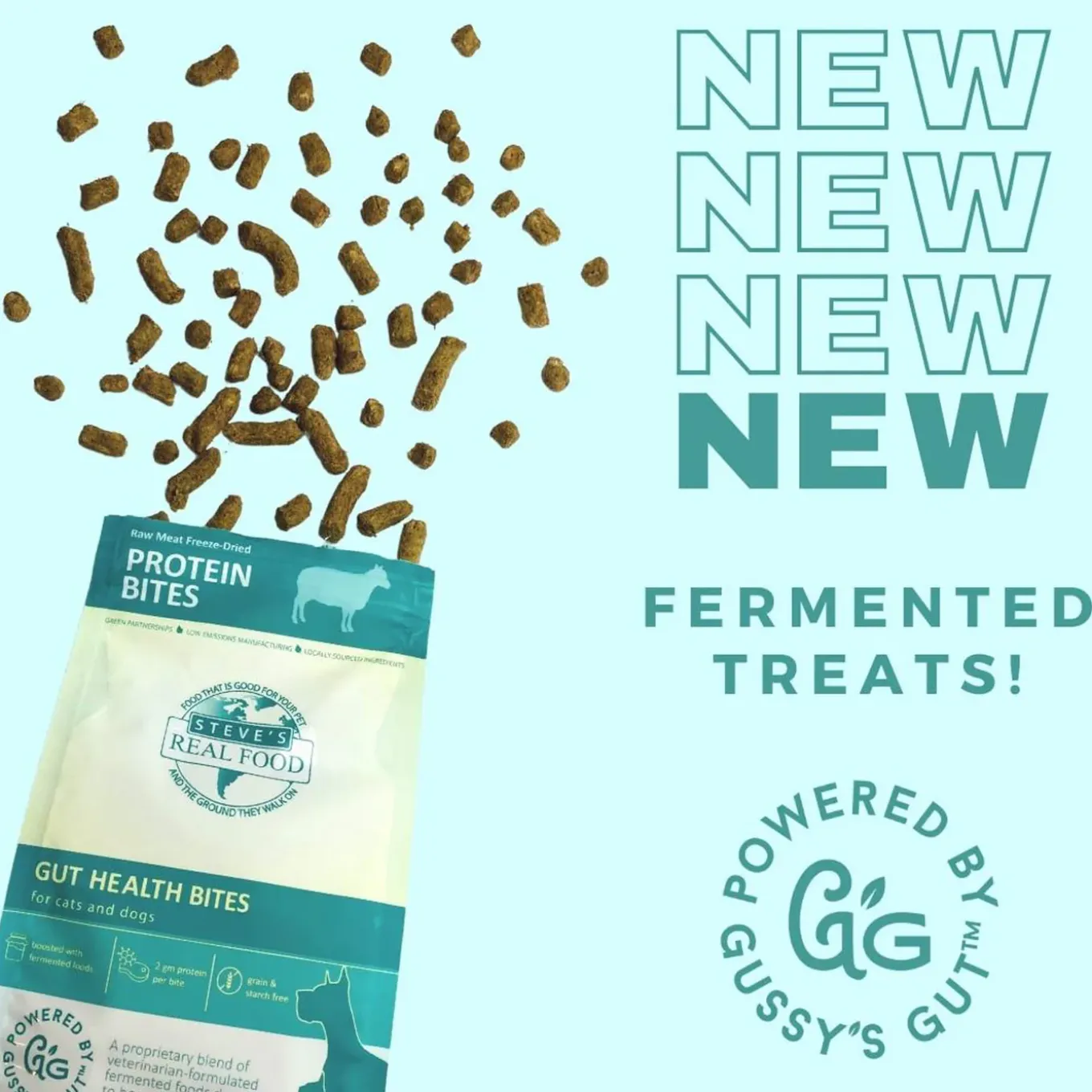 Steve's Real Food Probiotic Protein Bites