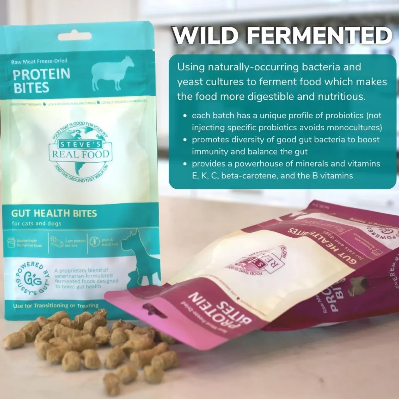 Steve's Real Food Probiotic Protein Bites