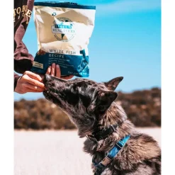 Steve's Real Food 1.25 lb Freeze Dried Nuggets for Dogs