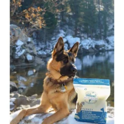 Steve's Real Food 1.25 lb Freeze Dried Nuggets for Dogs