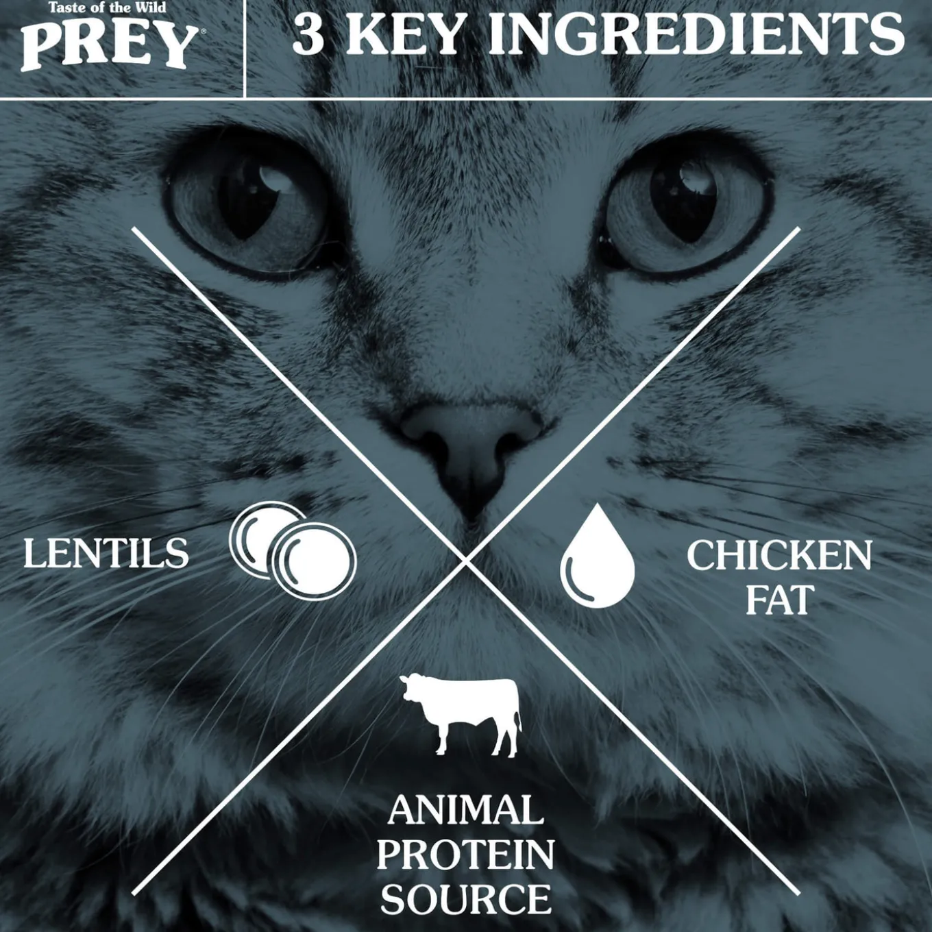 Taste of the Wild Prey Cat Dry Food