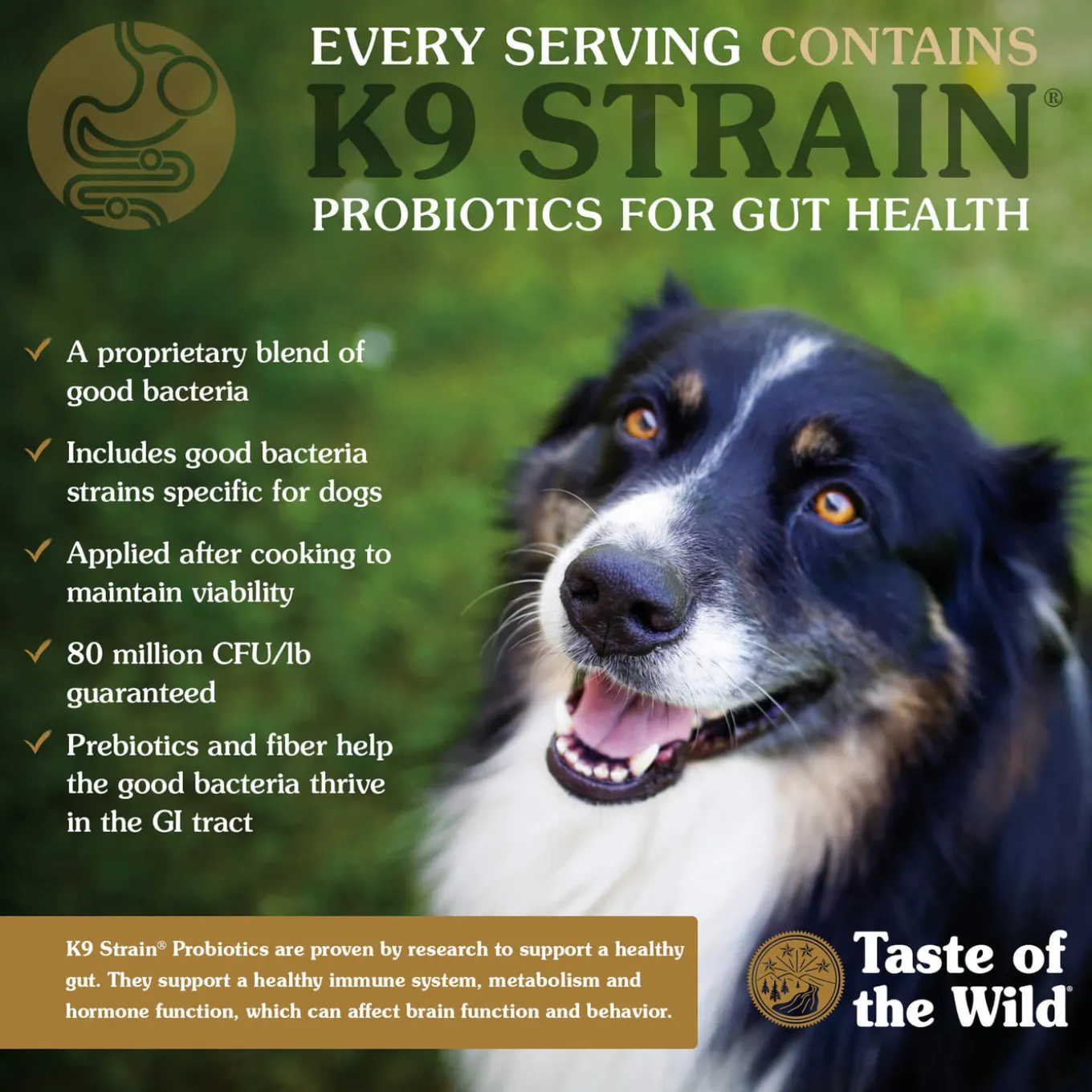 Taste of the Wild Grain-Free Dry Dog Food Puppy Formula