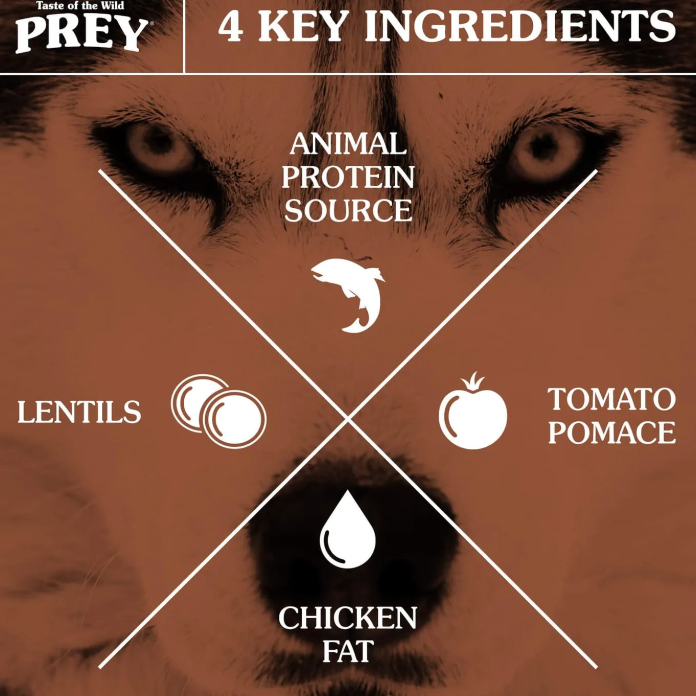 Taste of the Wild Prey Dog Dry Food