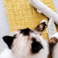 The Kind Pet Hemp Canvas Cat Toys