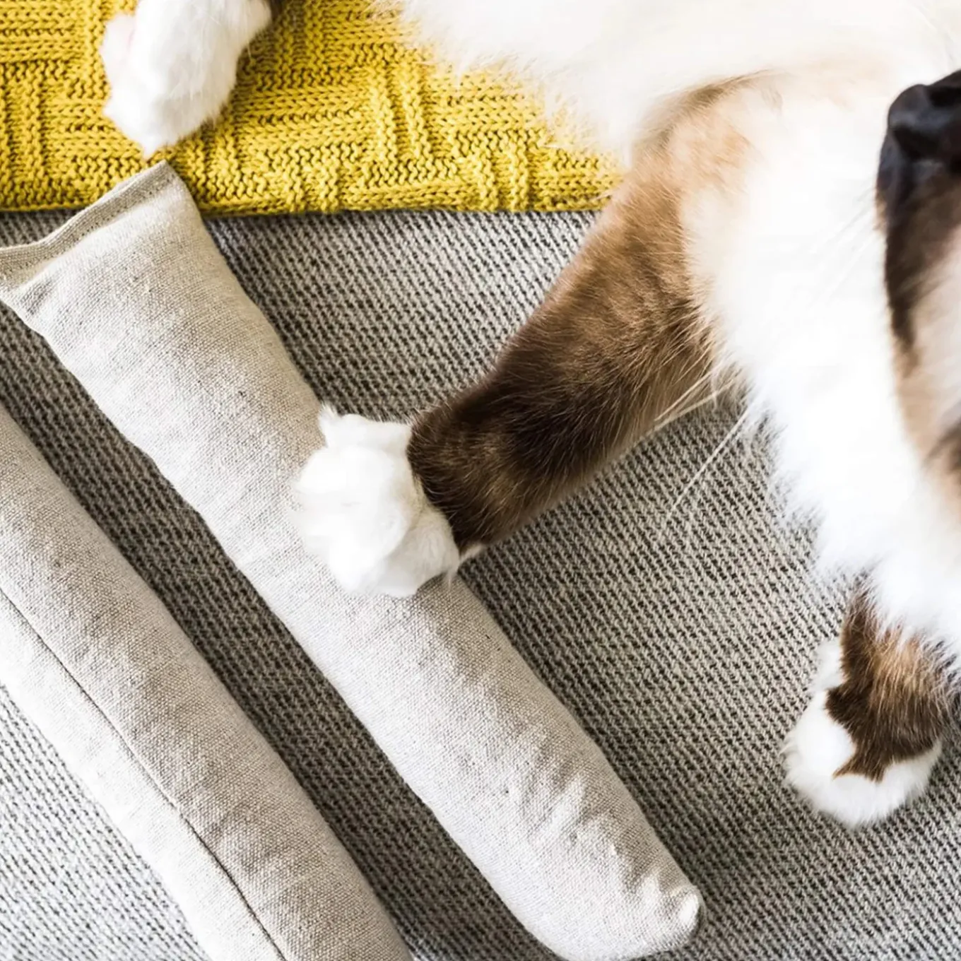 The Kind Pet Hemp Canvas Cat Toys