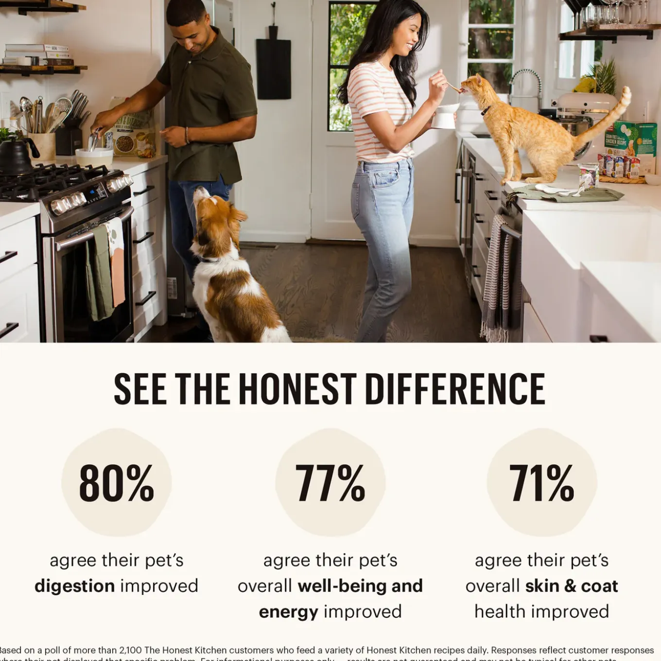 The Honest Kitchen Butcher Block Pate Dog Wet Food