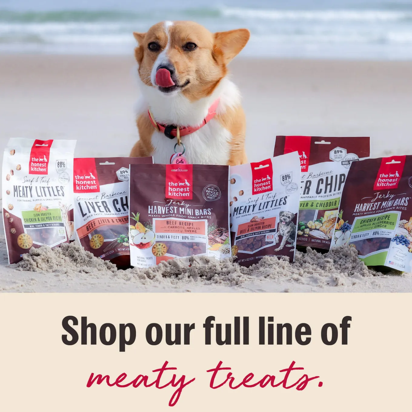 The Honest Kitchen Meaty Littles Puppy Treats