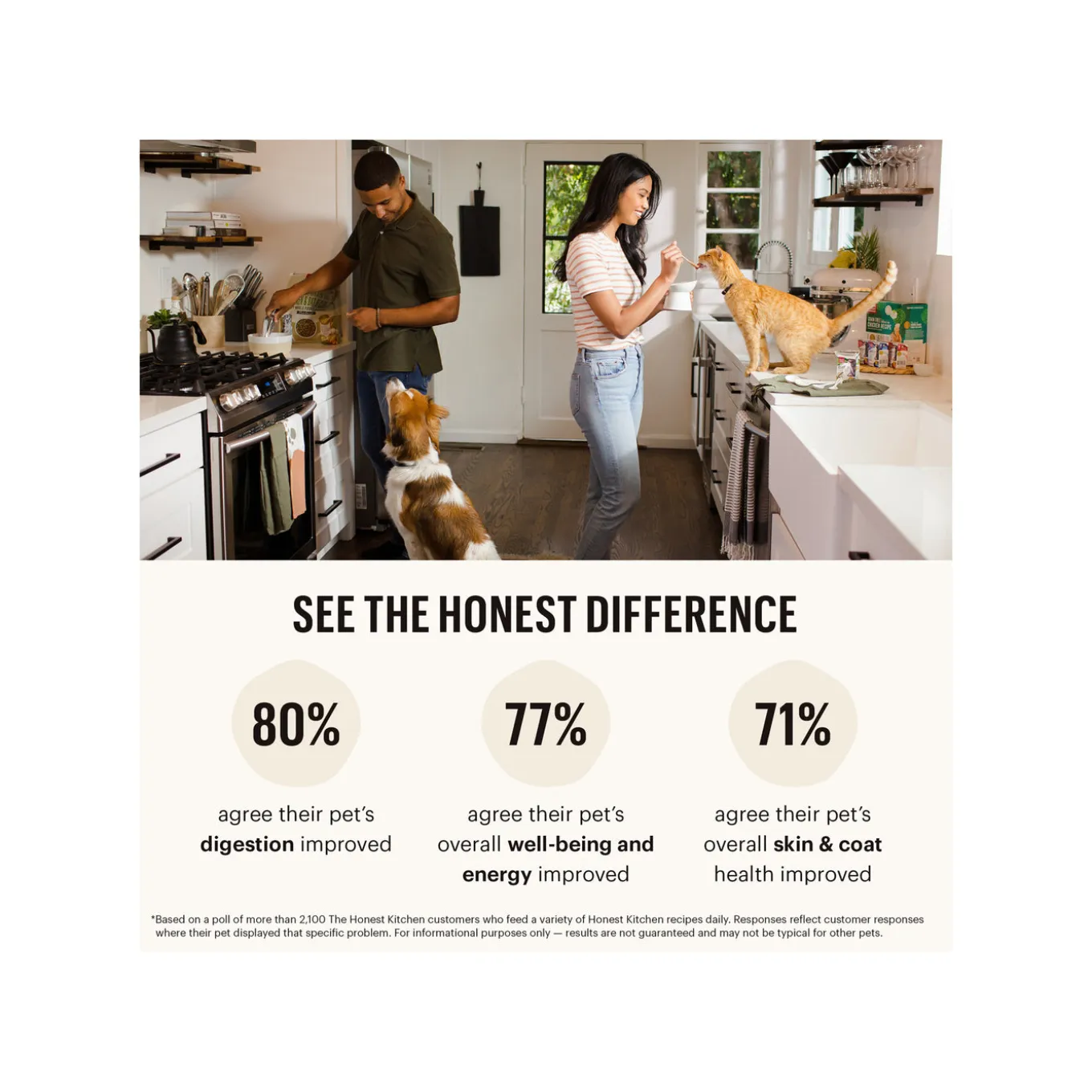 The Honest Kitchen Whole Grain Food Clusters Puppy Dog Food