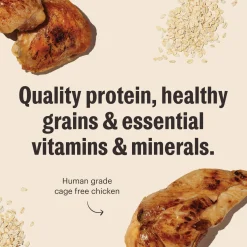 The Honest Kitchen Whole Grain Essential Clusters Dog Food