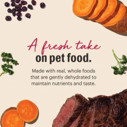 The Honest Kitchen Wholemade Grain Free Dehydrated Dog Food