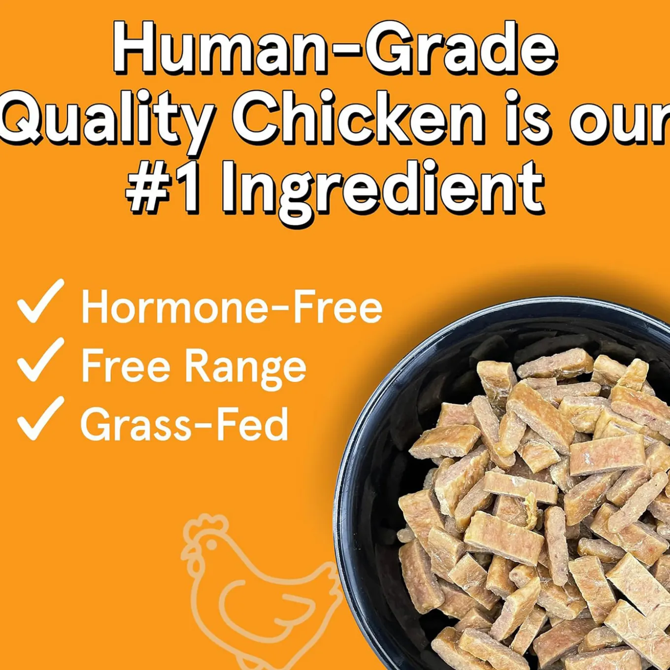 The Real Meat Company Air-Dried Jerky Dog Food