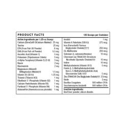 ThorneVet Feline Basic Nutrients Cat Supplement