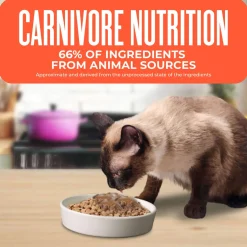 Tiki Cat Born Carnivore Indoor Health Grain-Free Dry Cat Food