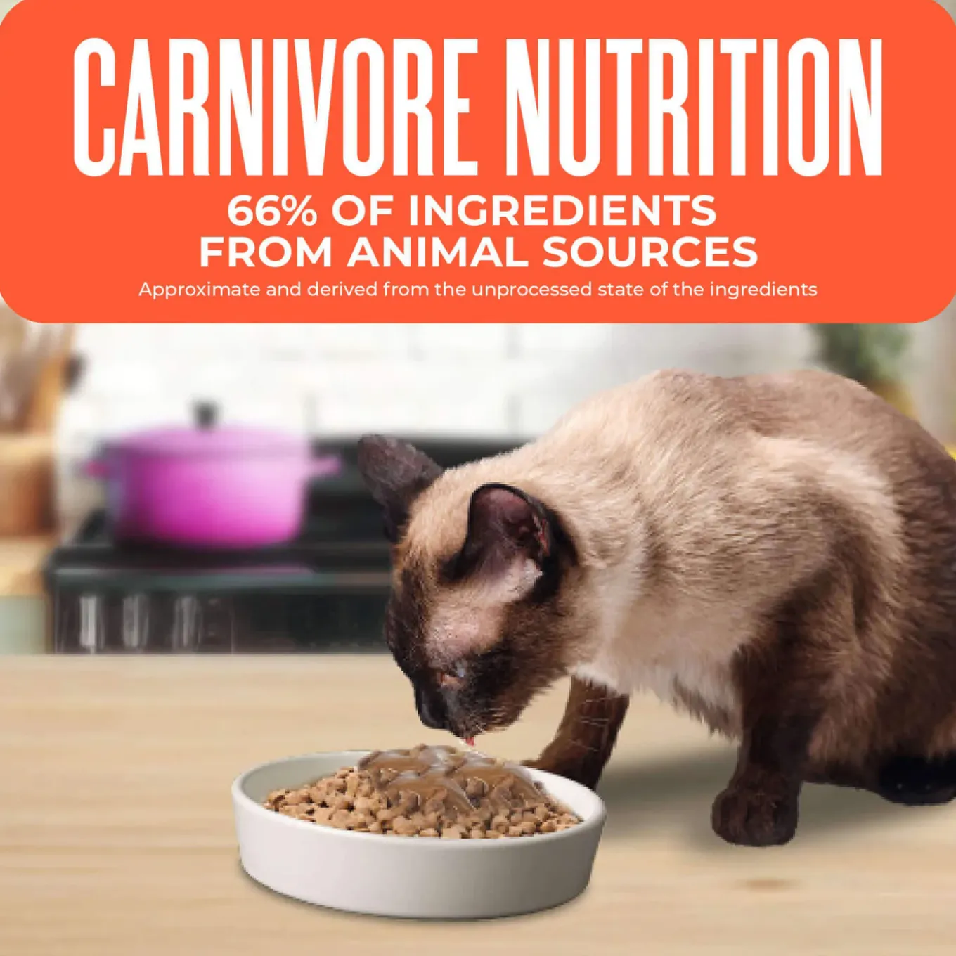 Tiki Cat Born Carnivore Indoor Health Grain-Free Dry Cat Food
