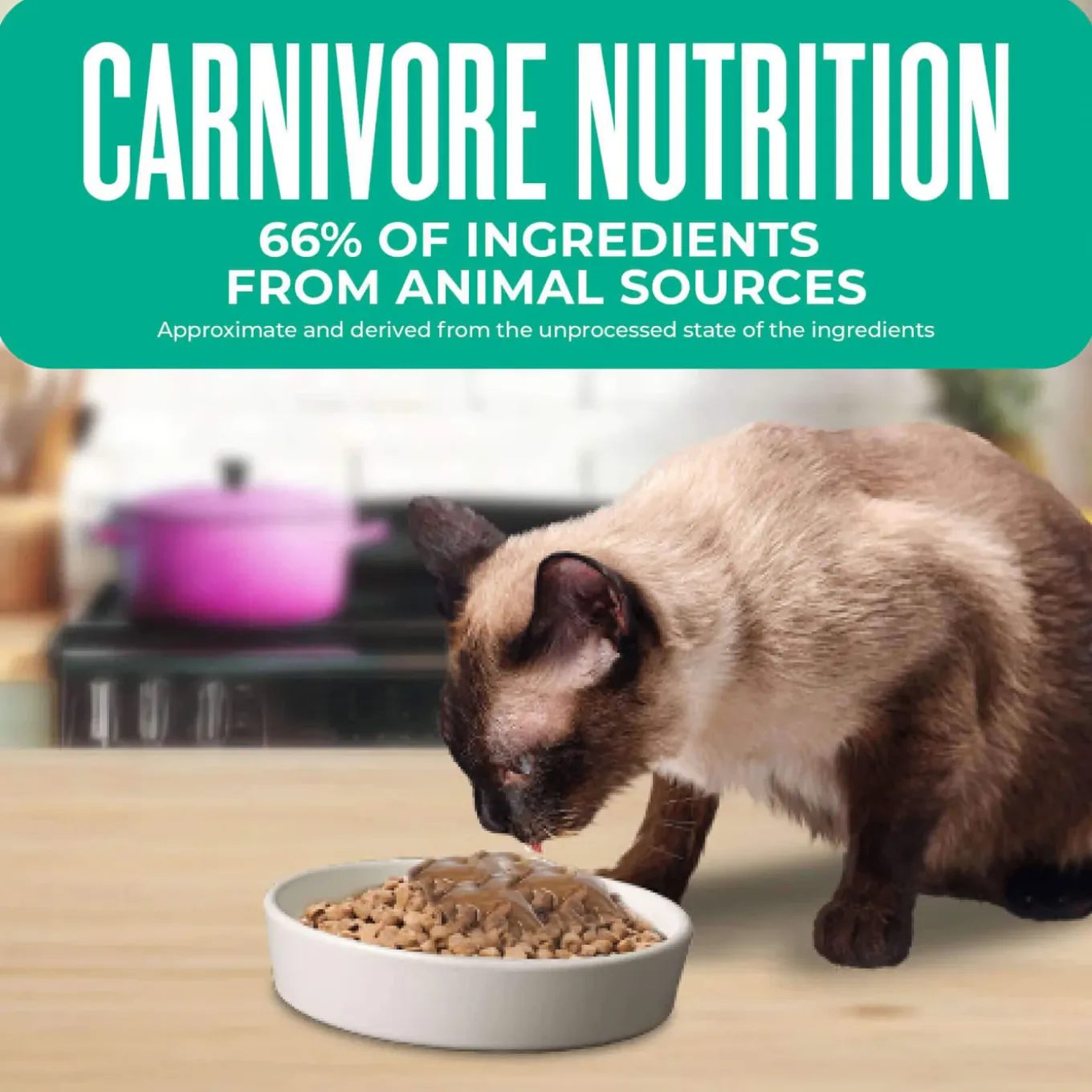 Tiki Cat Born Carnivore Indoor Health Grain-Free Dry Cat Food