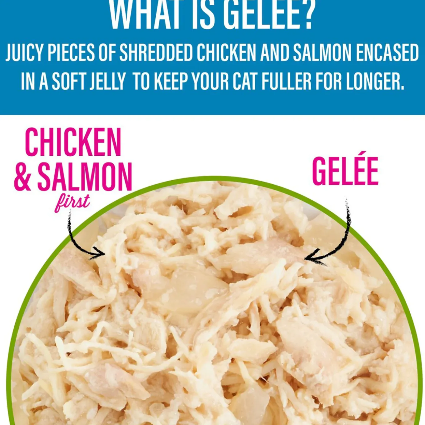 Tiki Cat Gelee Lean Wet Cat Food