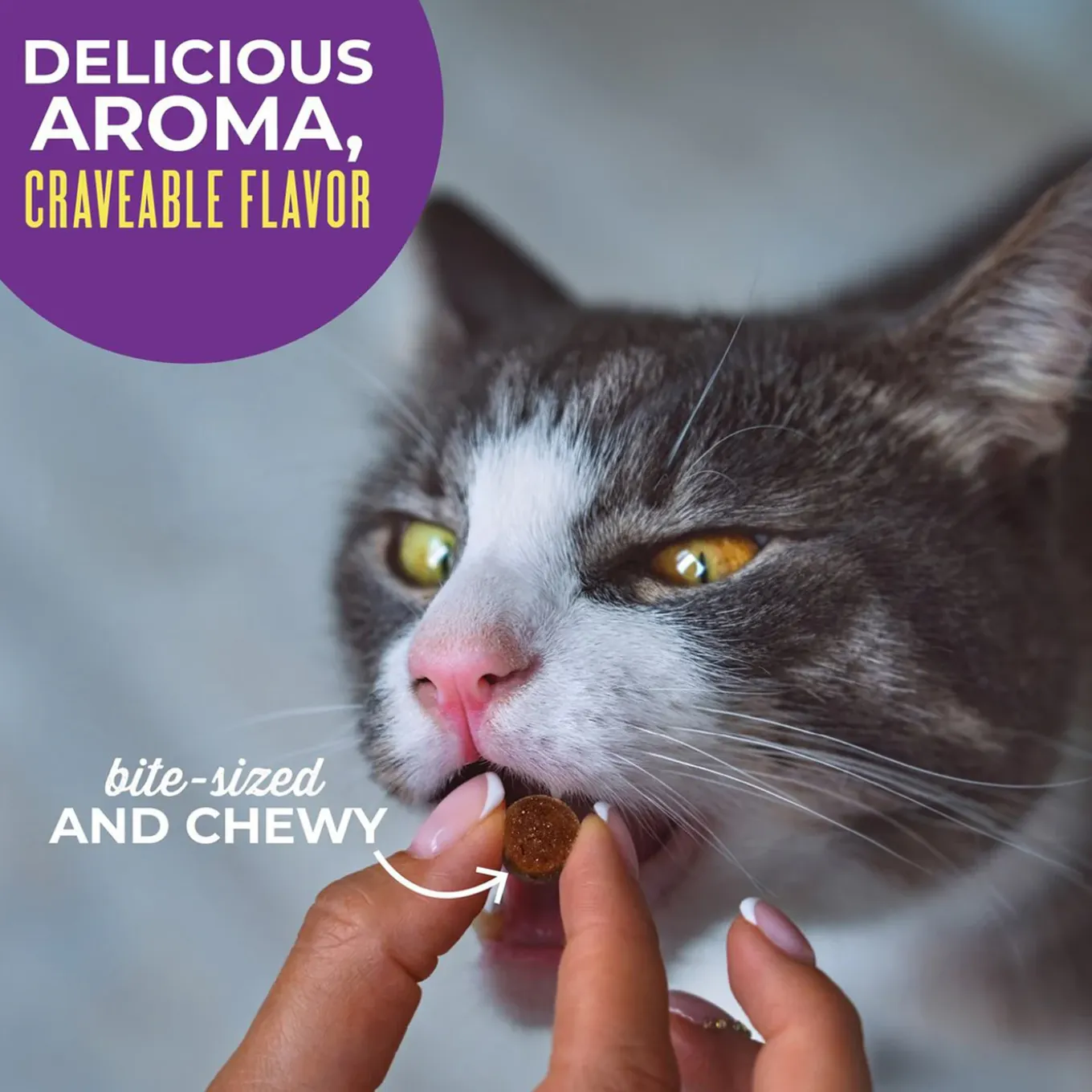 Tiki Cat Soft & Chewy Grain Free Treats for Cats